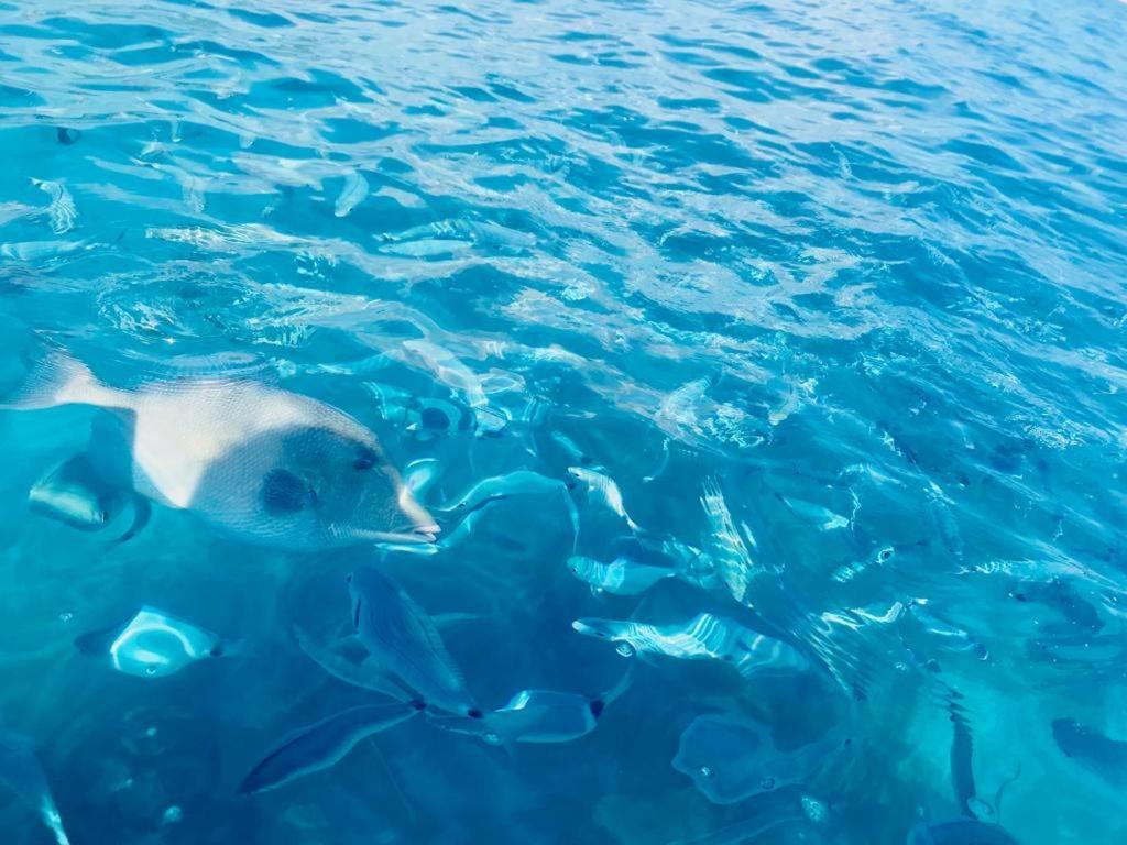 Villino Mari Pintau Best Vacation Ever Geremèas Dış mekan fotoğraf